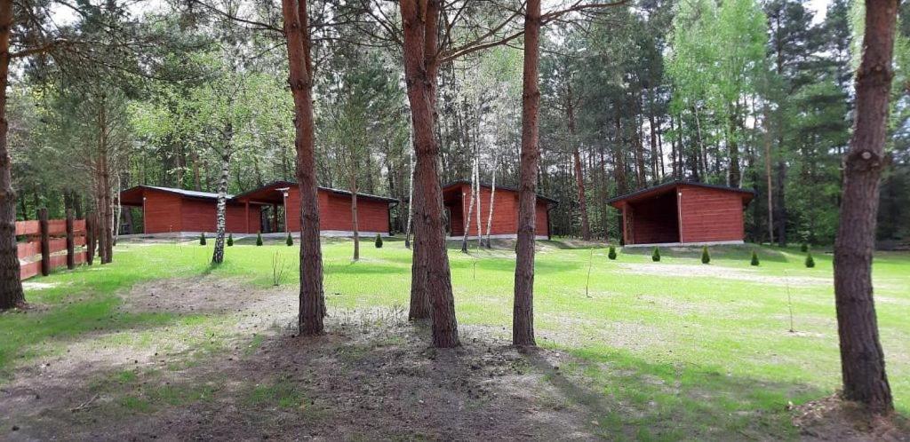 Domki Wrzosowe Wzgorza Nr2 Horyniec Buitenkant foto