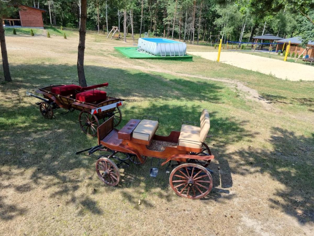Domki Wrzosowe Wzgorza Nr2 Horyniec Buitenkant foto