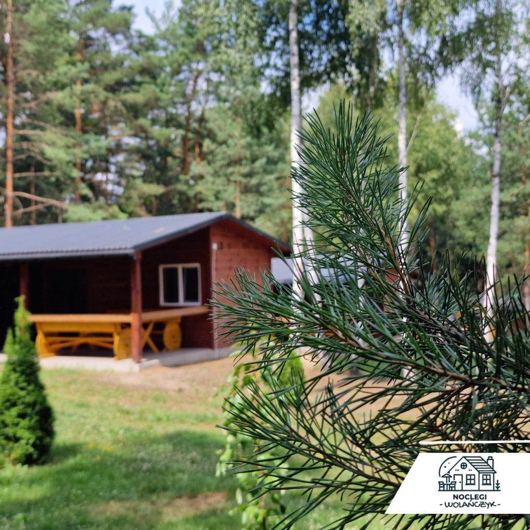 Domki Wrzosowe Wzgorza Nr2 Horyniec Buitenkant foto